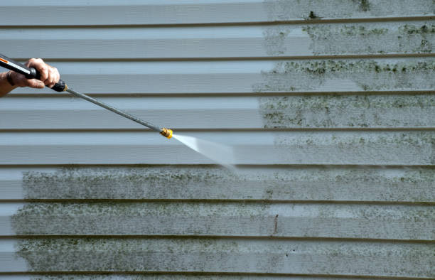 Best Pressure Washing Siding  in Carol Stream, IL