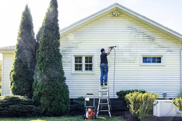 Best Deck Pressure Washing  in Carol Stream, IL