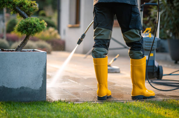 Best Exterior Home Cleaning  in Carol Stream, IL